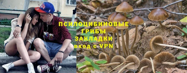 ECSTASY Алексин