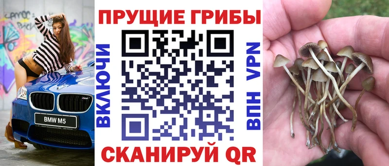 хочу наркоту  МЕГА ONION  Псилоцибиновые грибы Psilocybe  Ясный 
